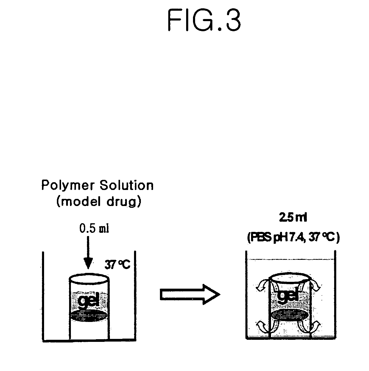 Thermosensitive poly (organophosphazenes), preparation method thereof and injectable thermosensitive polyphosphazene hydrogels using the same