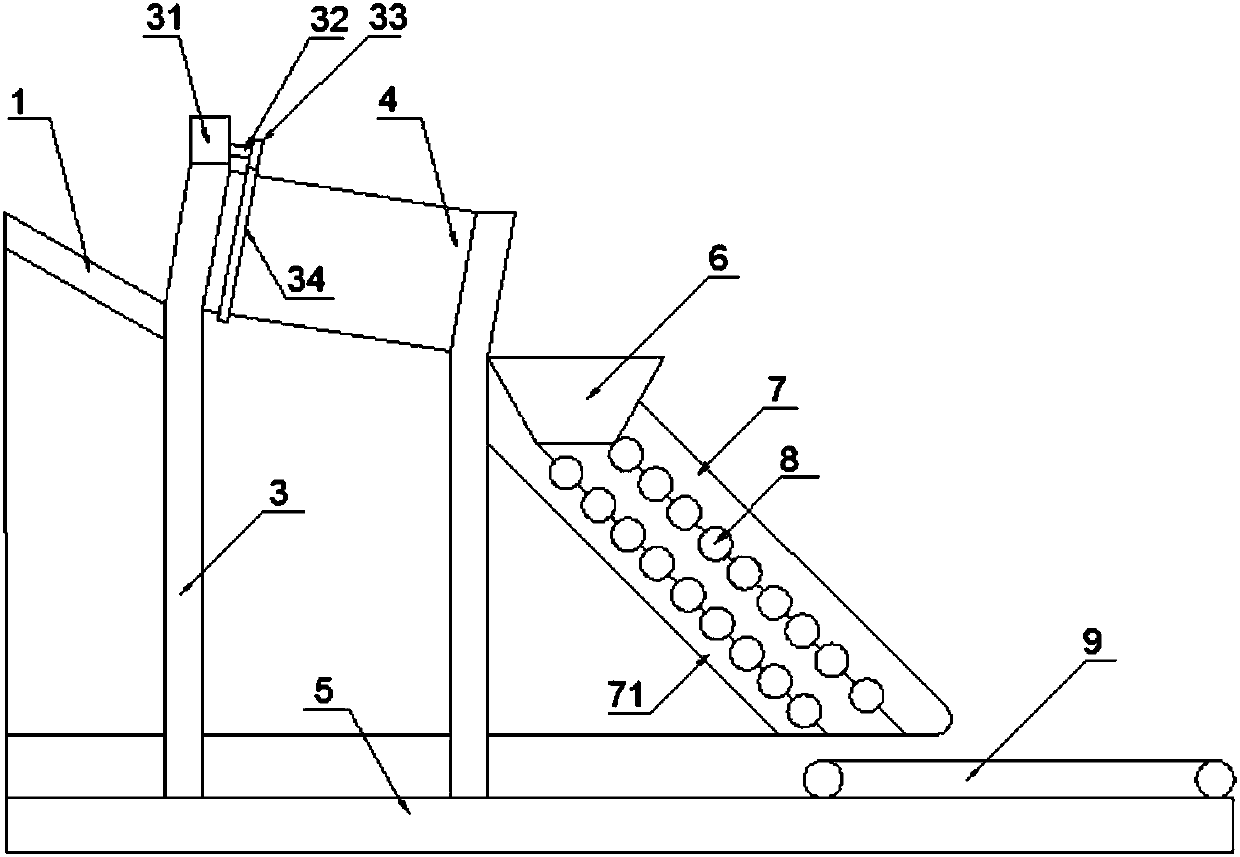 Water chestnut drying and cleaning equipment