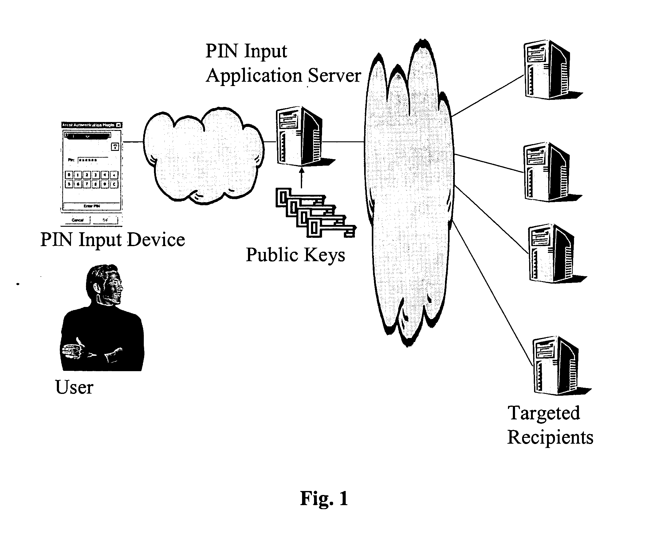 Method and apparatus for securing pass codes during transmission from capture to delivery