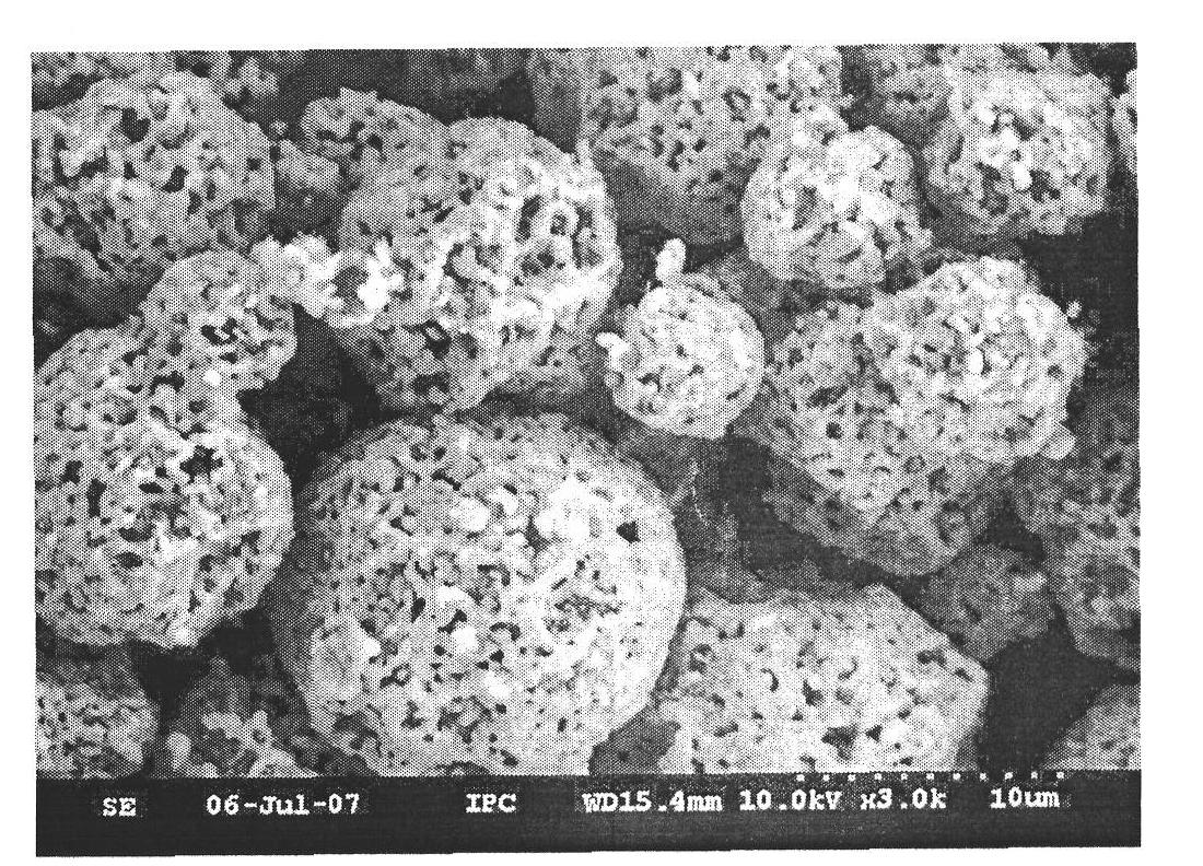 Preparation method of positive-electrode cellular material used by lithium ion battery