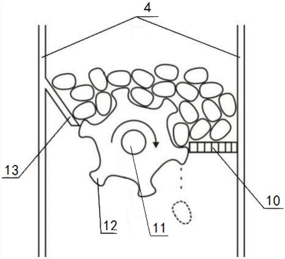 Multi-purpose seeder