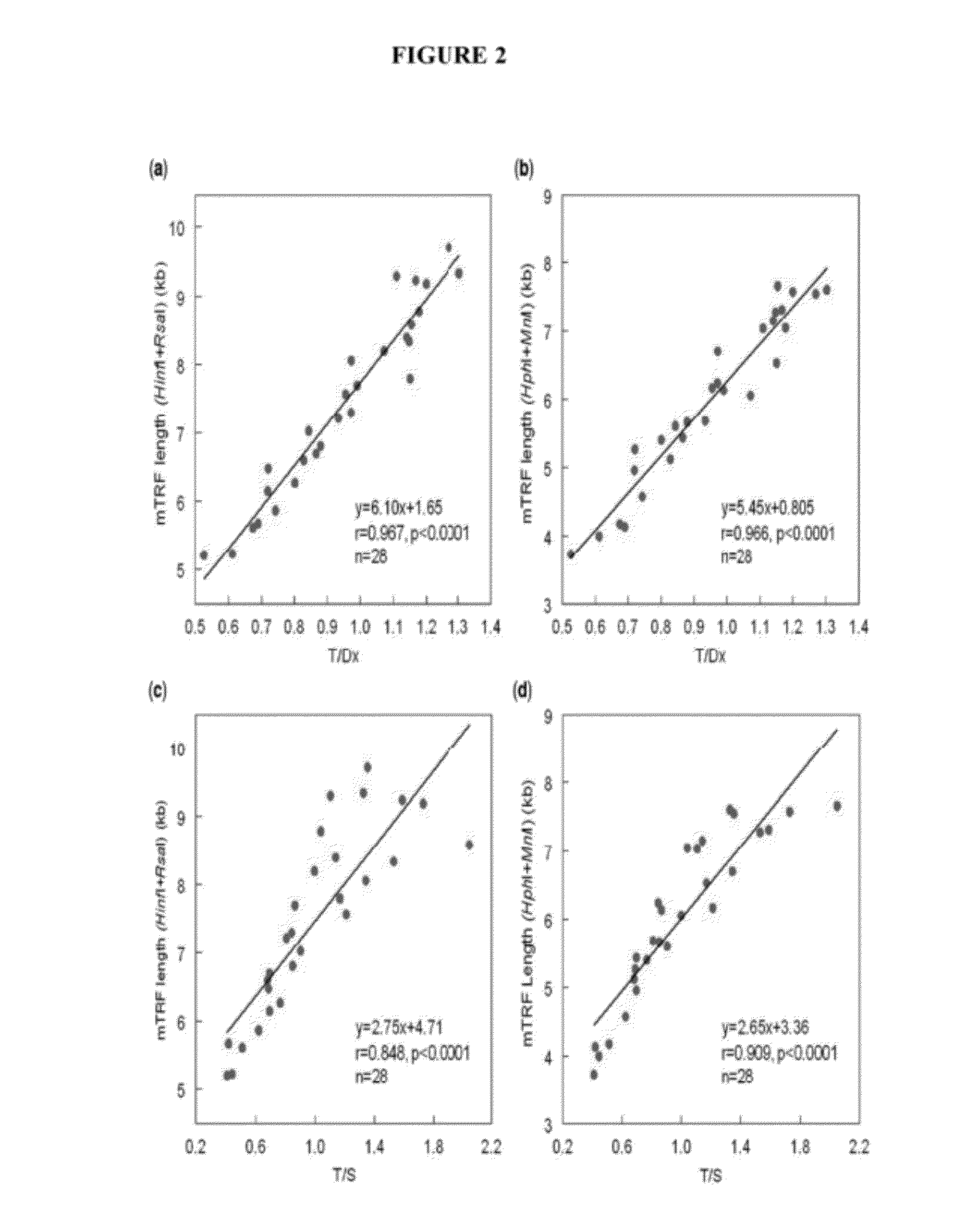 Method of Measuring Telomere Length