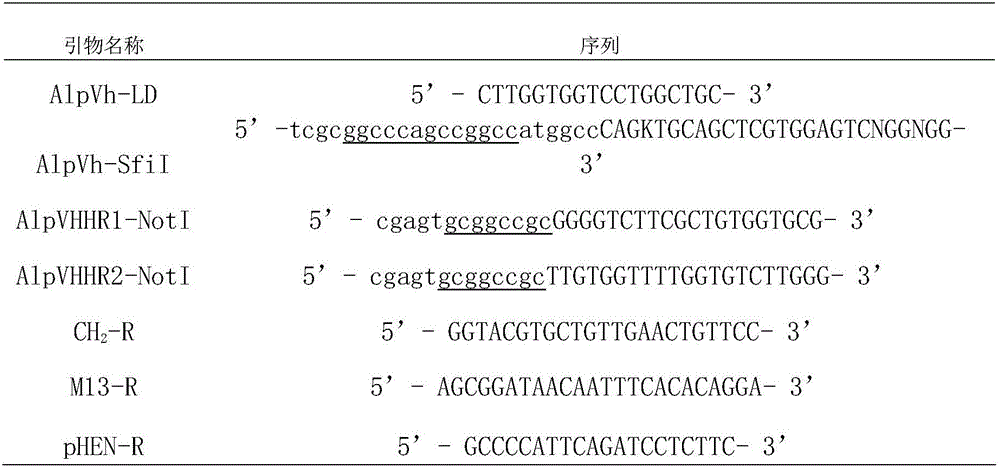 Immune library-derived nano-antibody for specifically recognizing immunoglobulin Fc fragment