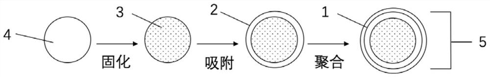 Liquid core microcapsule based on hydrogel as well as preparation method and application of liquid core microcapsule