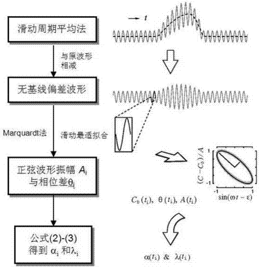 A method for real-time monitoring of dynamic changes in the extracellular space of animal brain tissue