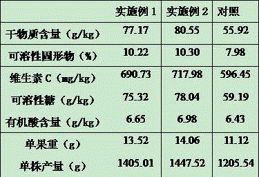 Cherry tomato matrix cultivation method