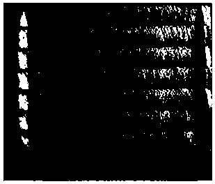 Re-manufacturing method for direct laser cladding of failed carburized quenching piece