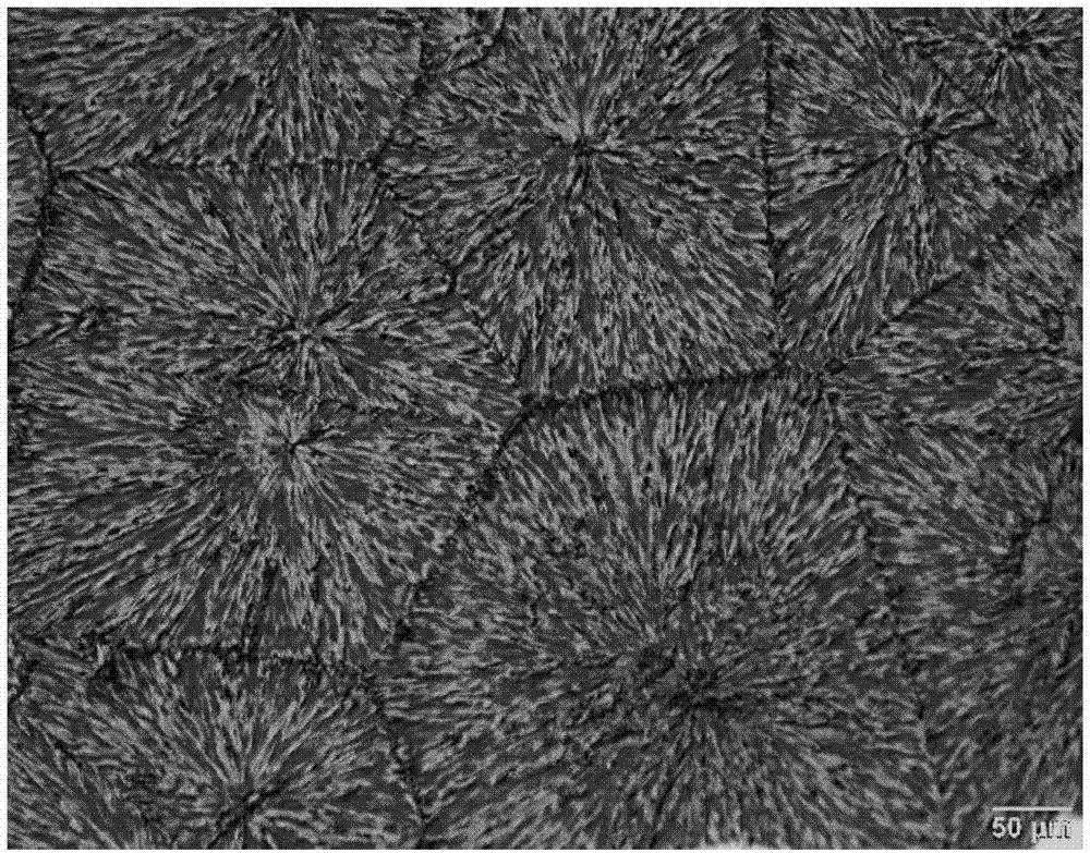 Method for preparing perovskite solar cell based on one-step spraying process