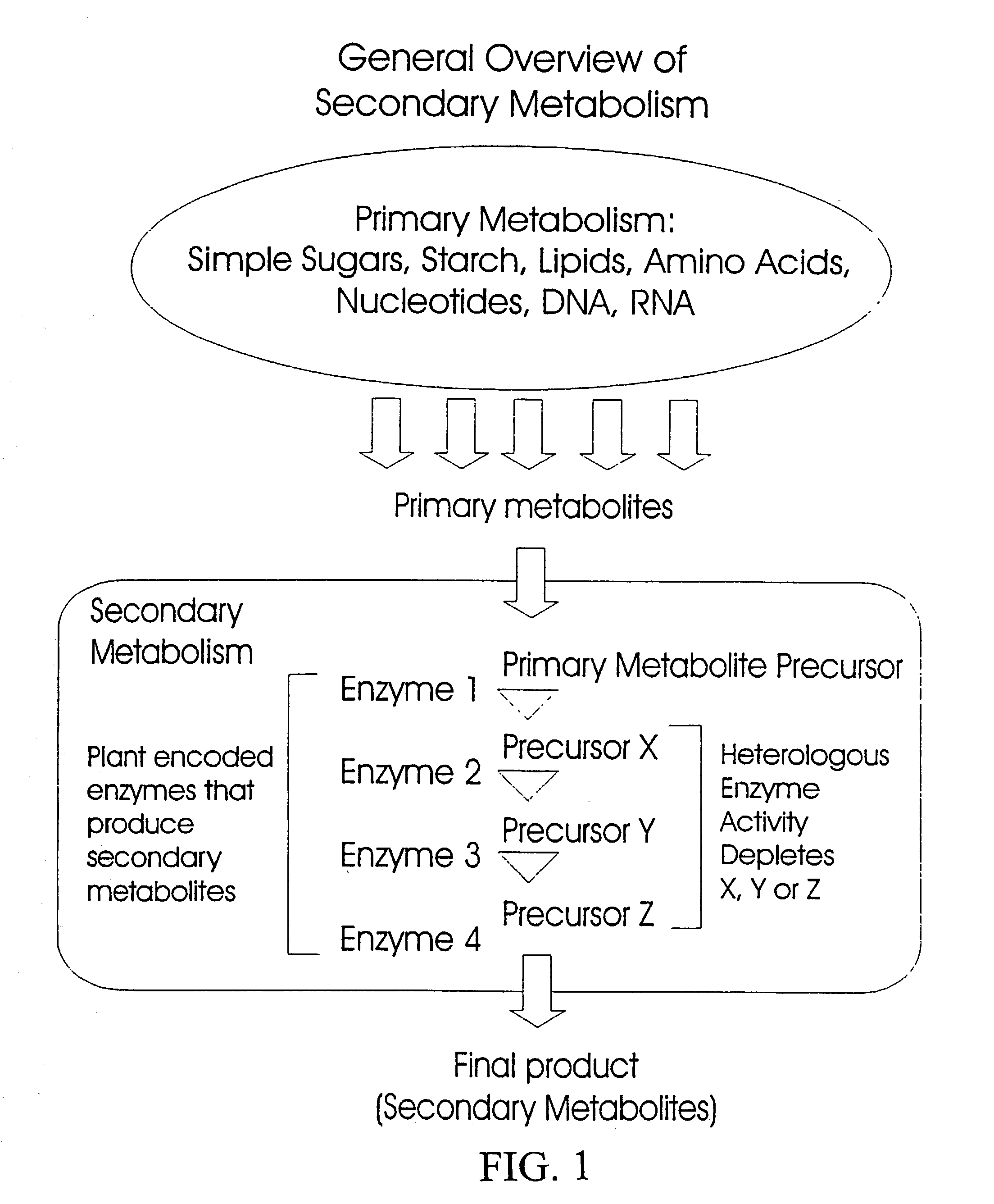 Methods and compositions for modifying levels of secondary metabolic compounds in plants