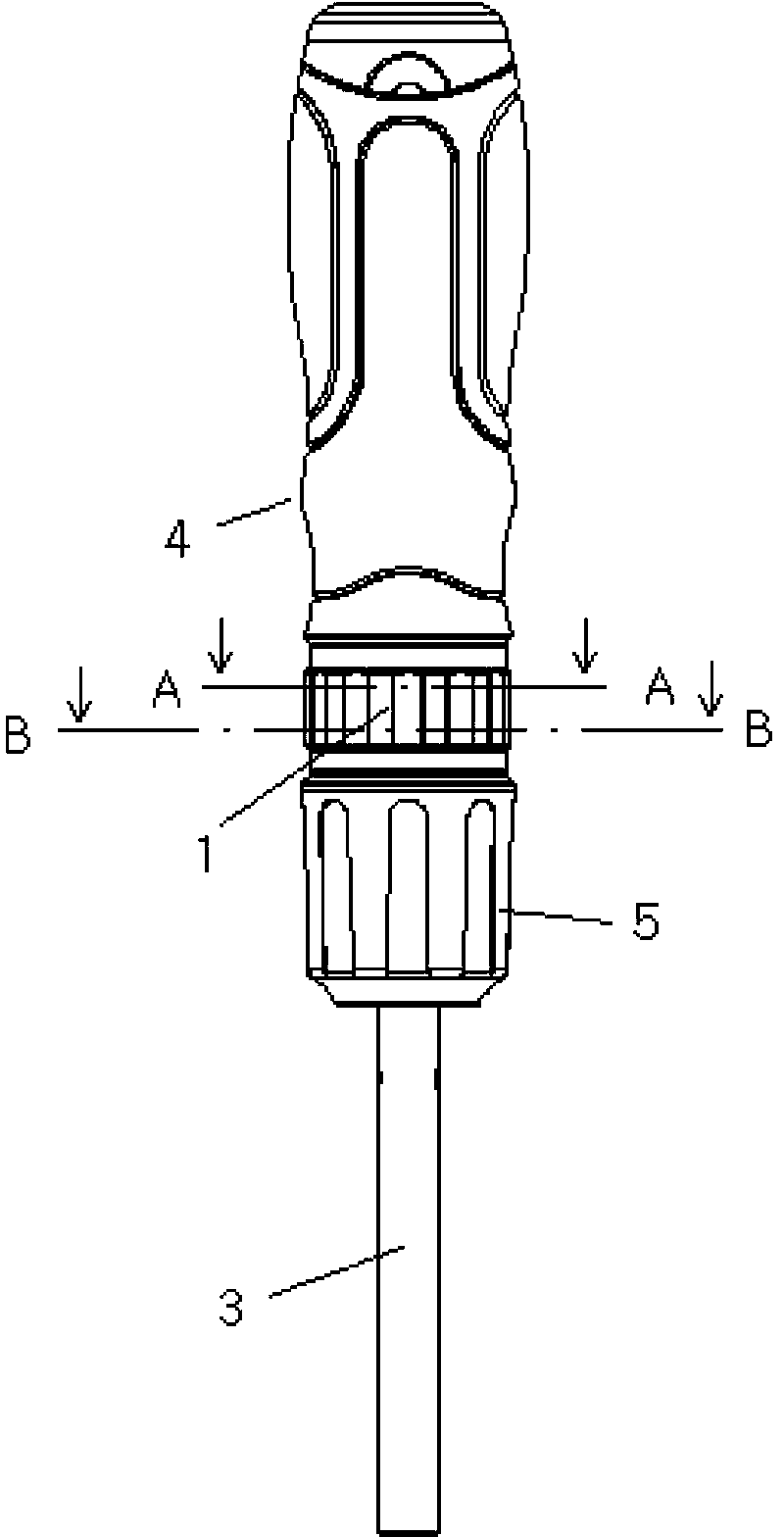 Ratchet wheel screw driver acting bidirectionally