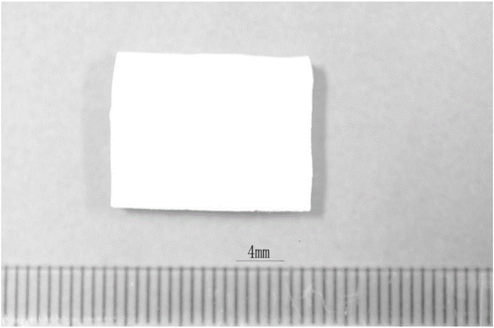 Bladder membrane biological scaffold, preparation method and purpose thereof