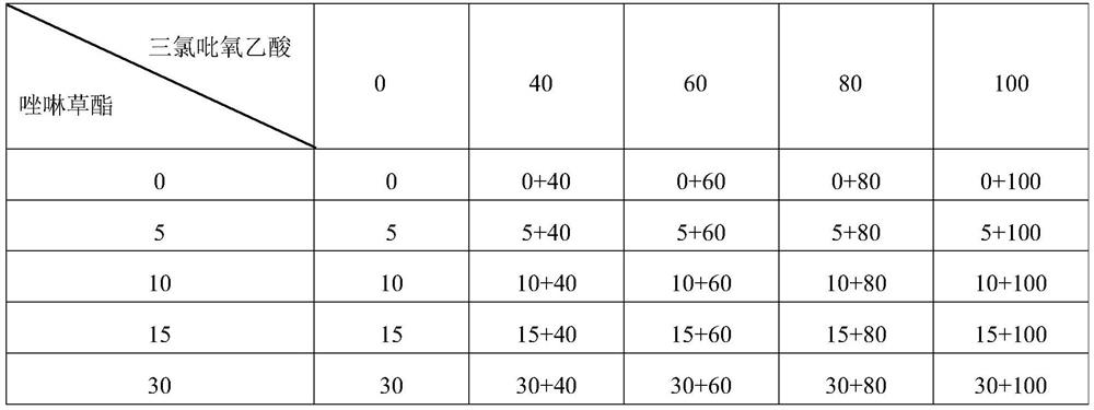 Weeding composition containing pinoxaden and triclopyr and preparation method of weeding composition