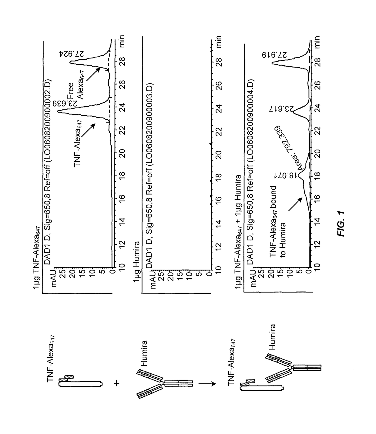 Methods for determining anti-drug antibody isotypes