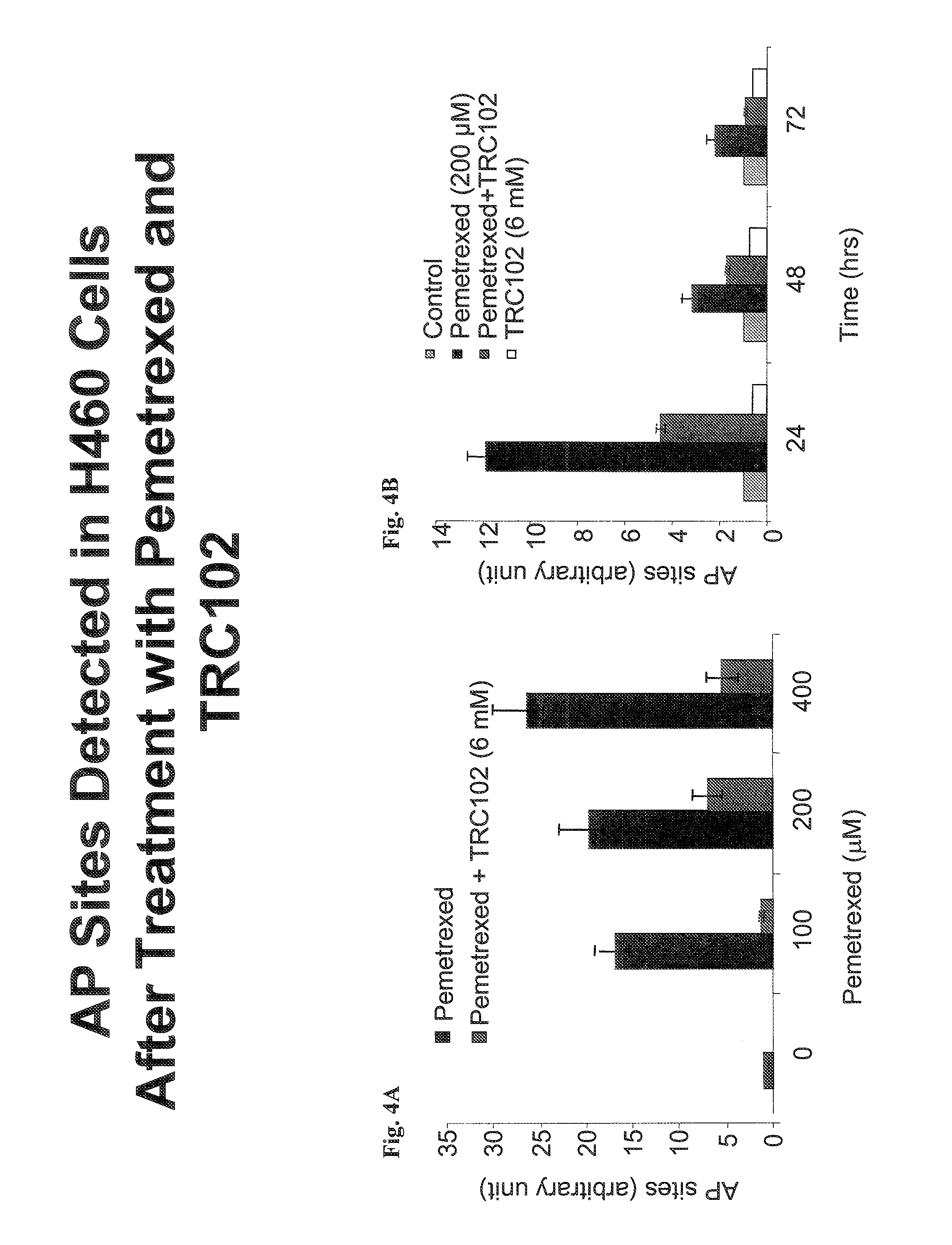 Antifolate agent combinations in the treatment of cancer