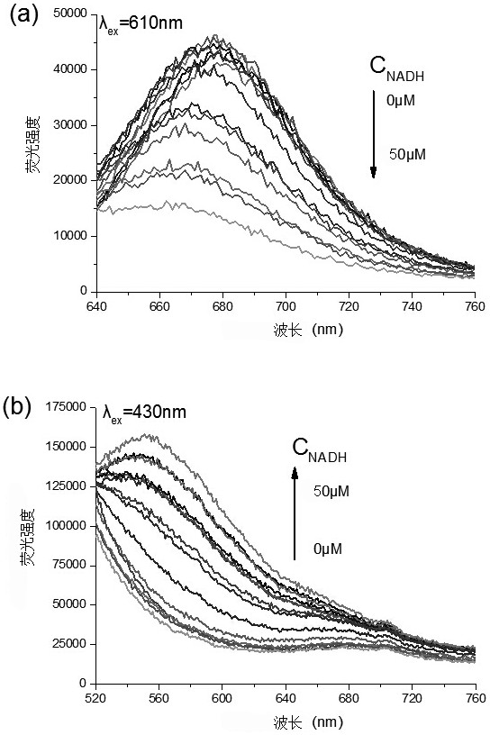 Fluorescent probe for detecting reduced nicotinamide adenine dinucleotide and its phosphate, preparation method and application of the fluorescent probe