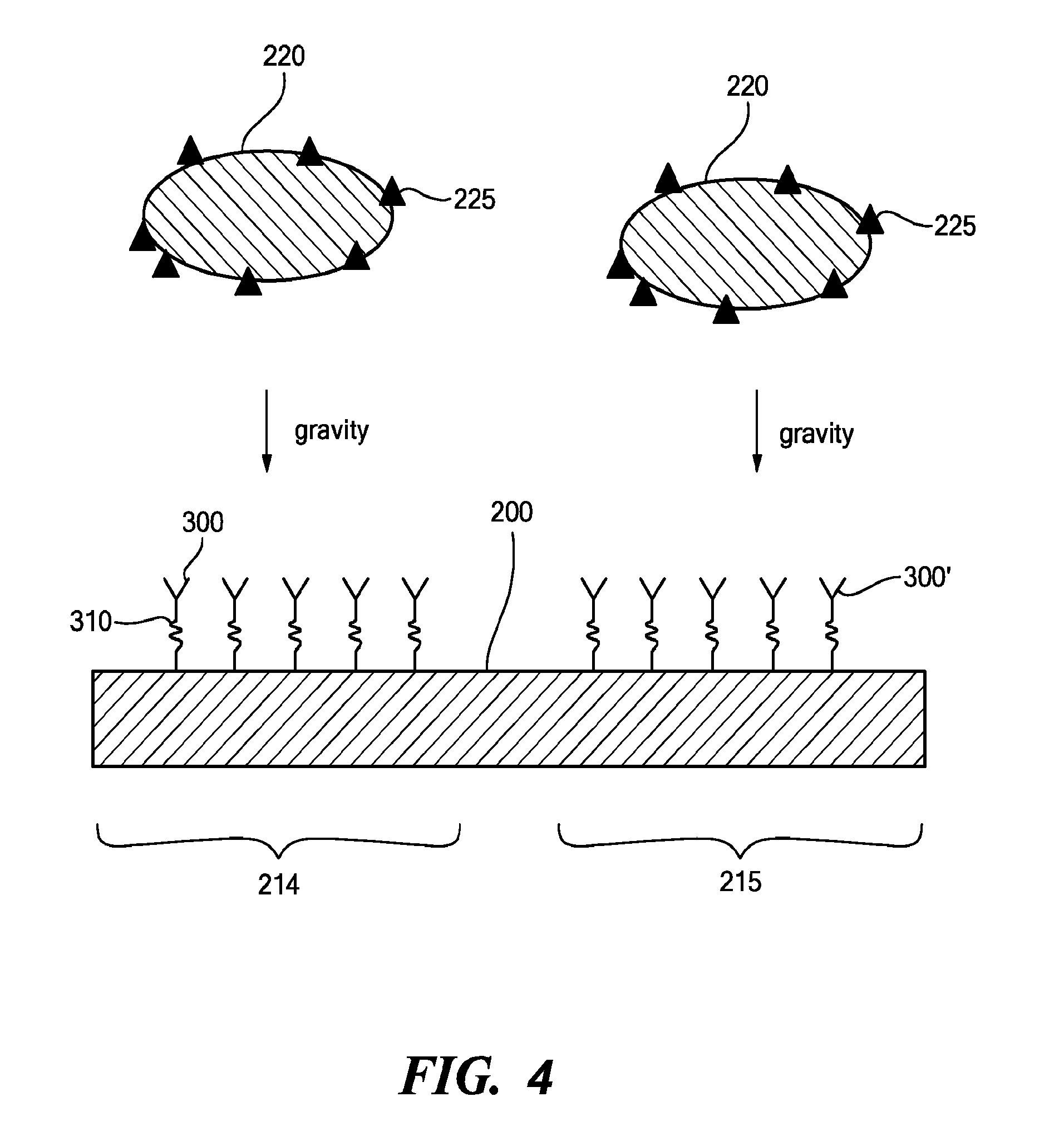 Surface Mapping by Optical Manipulation of Particles in Relation to a Functionalized Surface