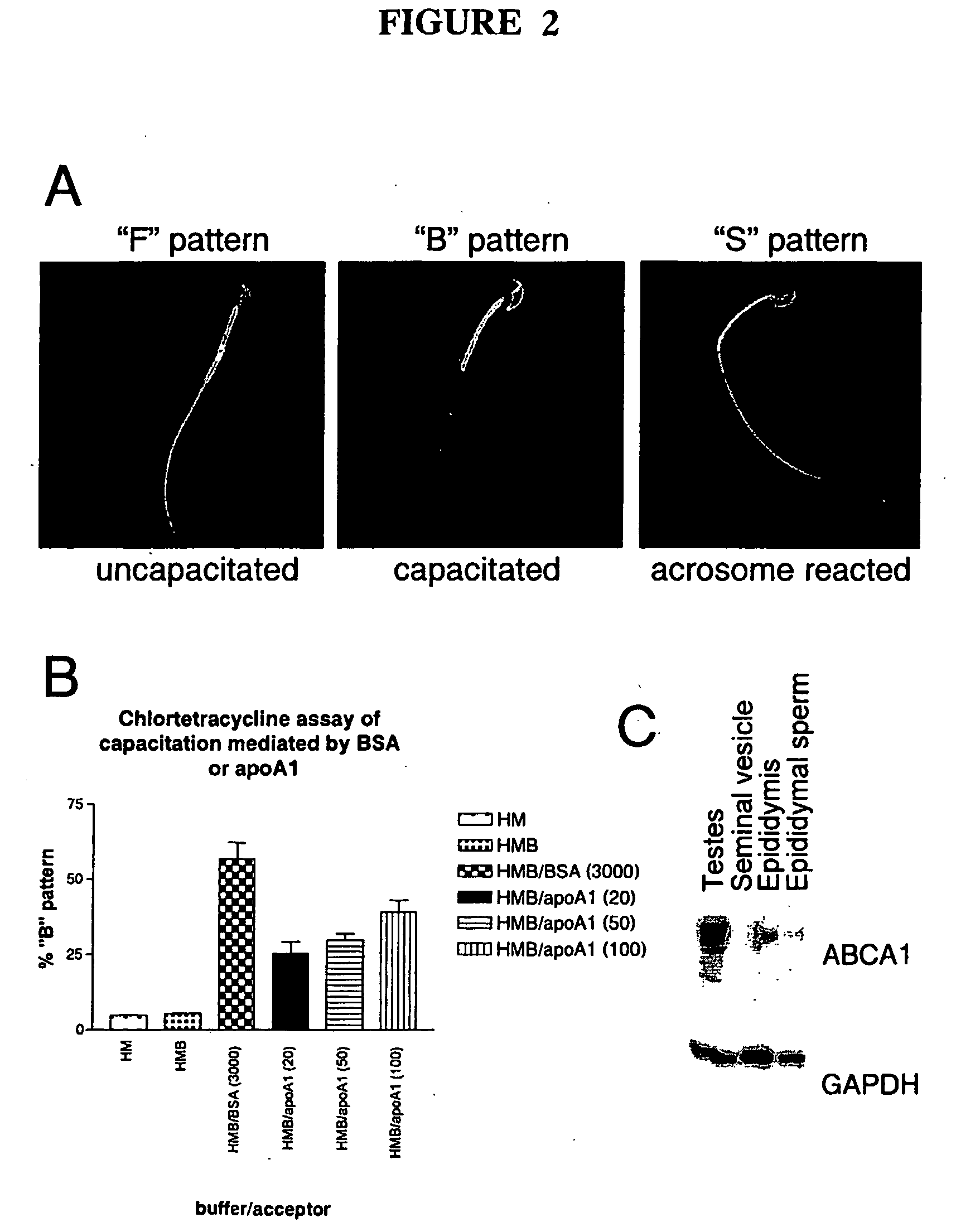 Methods for treating disorders of the nervous and reproductive systems