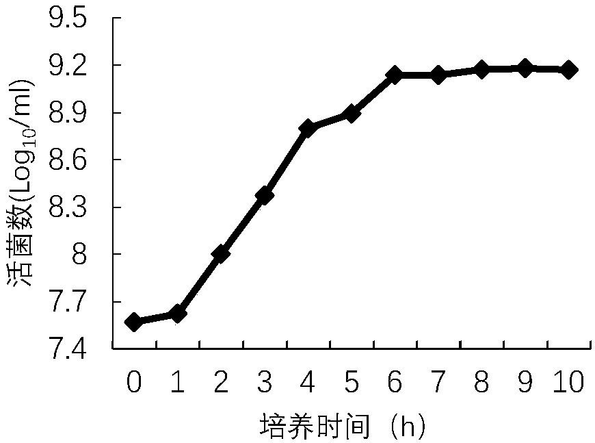 Pseudomonas aeruginosa and pseudomonas aeruginosa-containing marine mammal vaccine