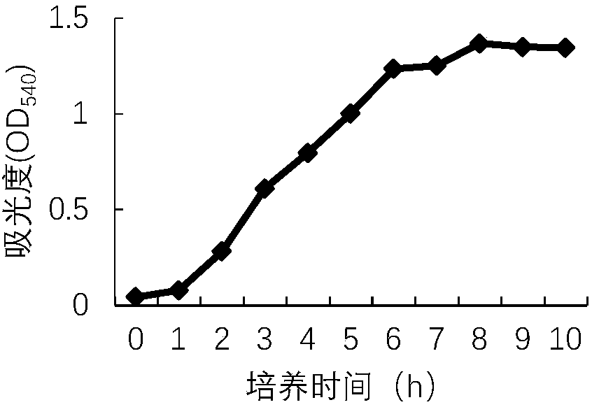 Pseudomonas aeruginosa and pseudomonas aeruginosa-containing marine mammal vaccine