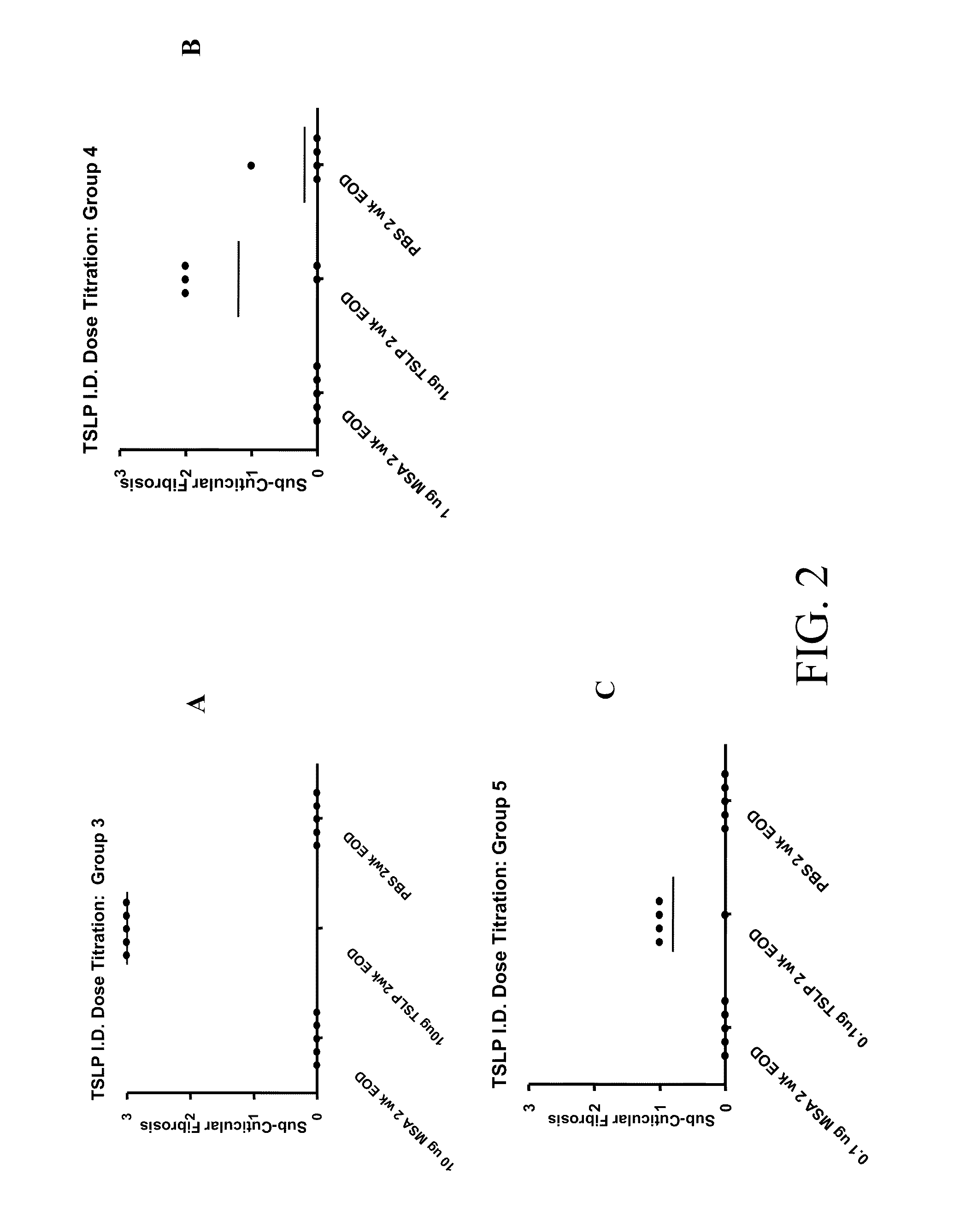 Method of modulating fibroblast accumulation or collagen deposition