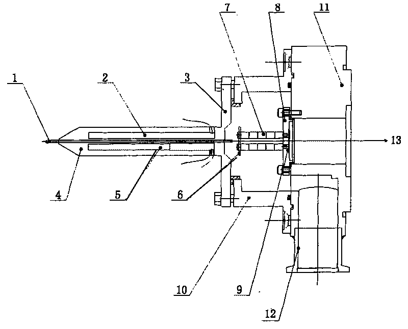 Atmospheric pressure ion source interface and its realizing method and use