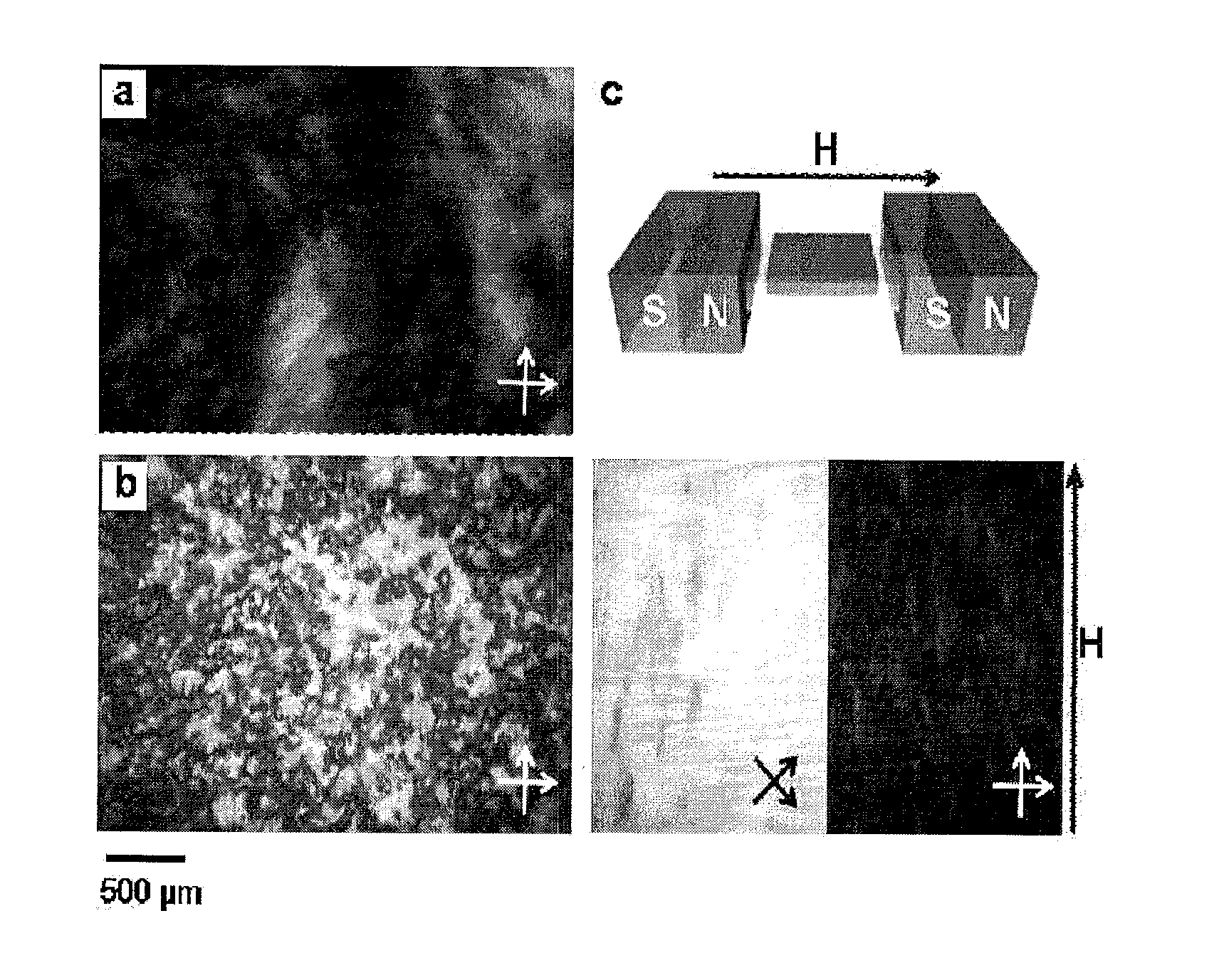 Graphene composition having liquid crystalline properties and preparation method thereof