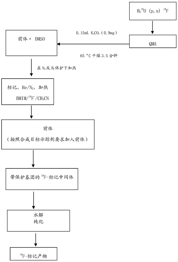 18F labeled quinazoline class EGFR (Epidermal Growth Factor Receptor) positron tracer agent and preparation method and application thereof