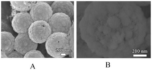 Hollow silicon dioxide nanometer sphere and preparation method and application thereof