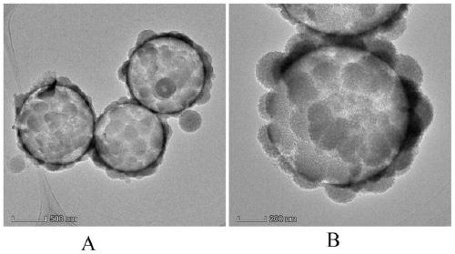 Hollow silicon dioxide nanometer sphere and preparation method and application thereof