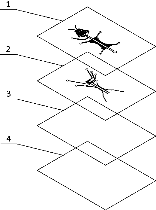 Micro-fluidic chip for cell migration and preparation method of micro-fluidic chip