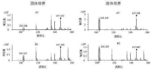 Kits for Escherichia coli and Shigella screening