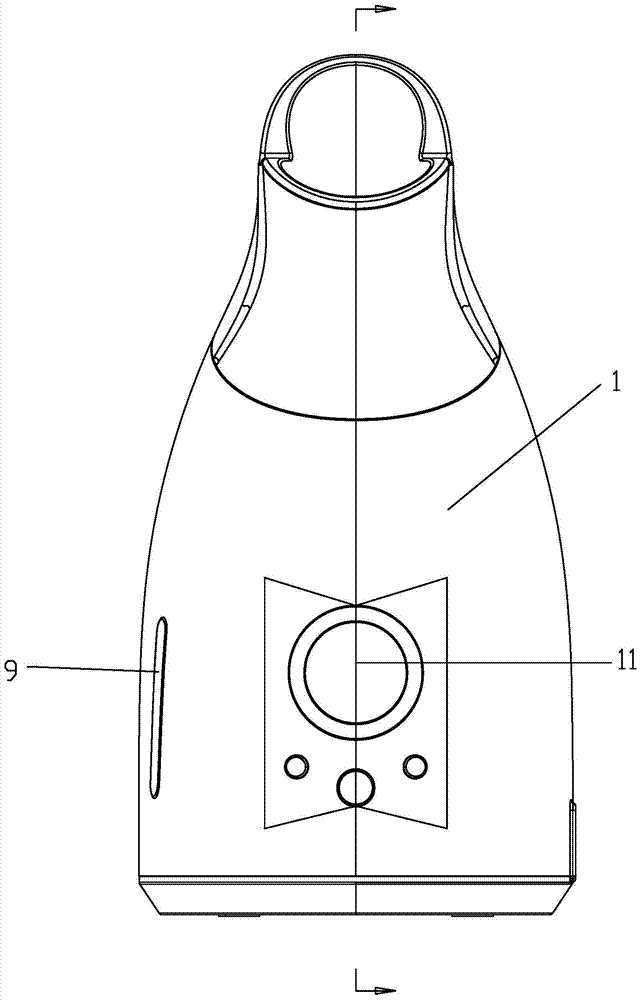 Face steamer integrated with face brush