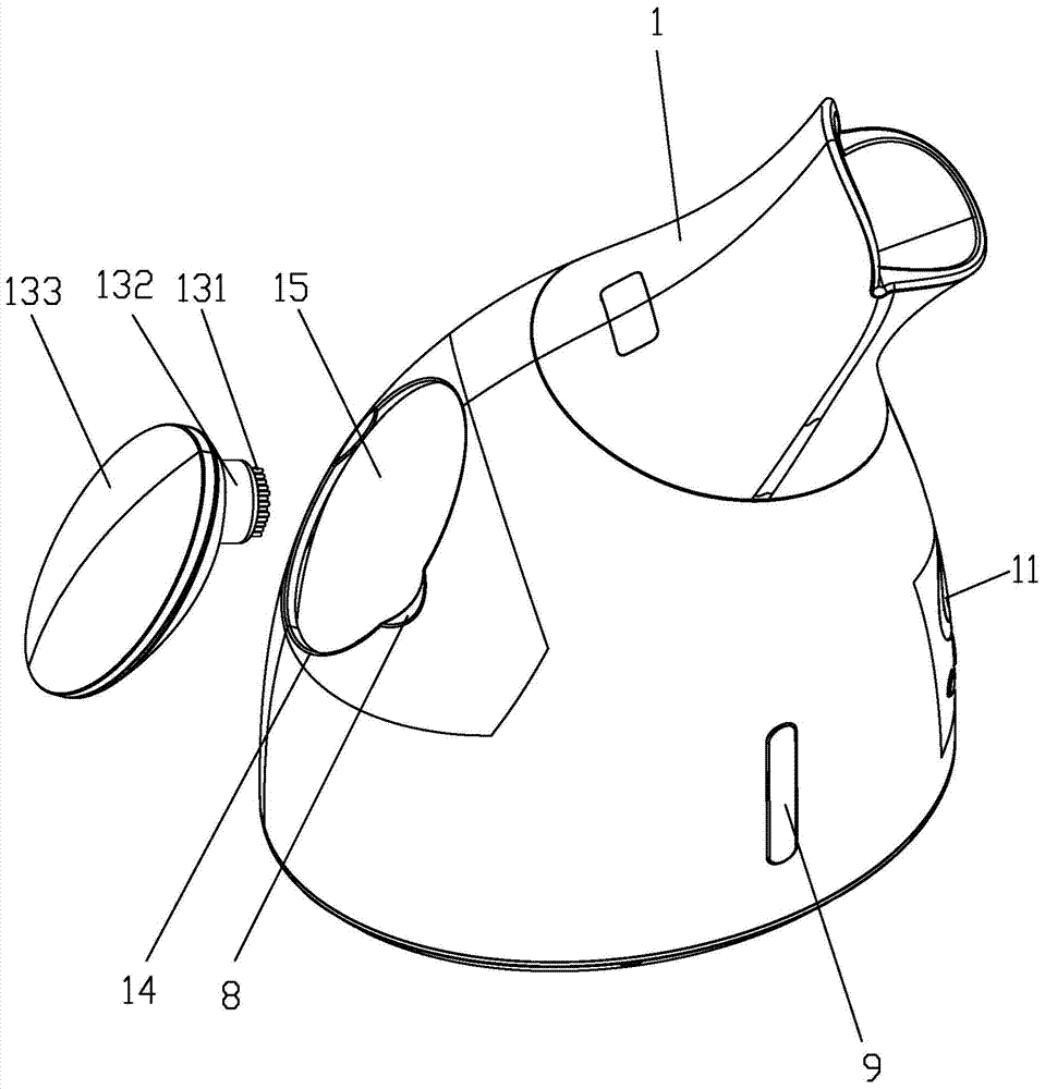 Face steamer integrated with face brush