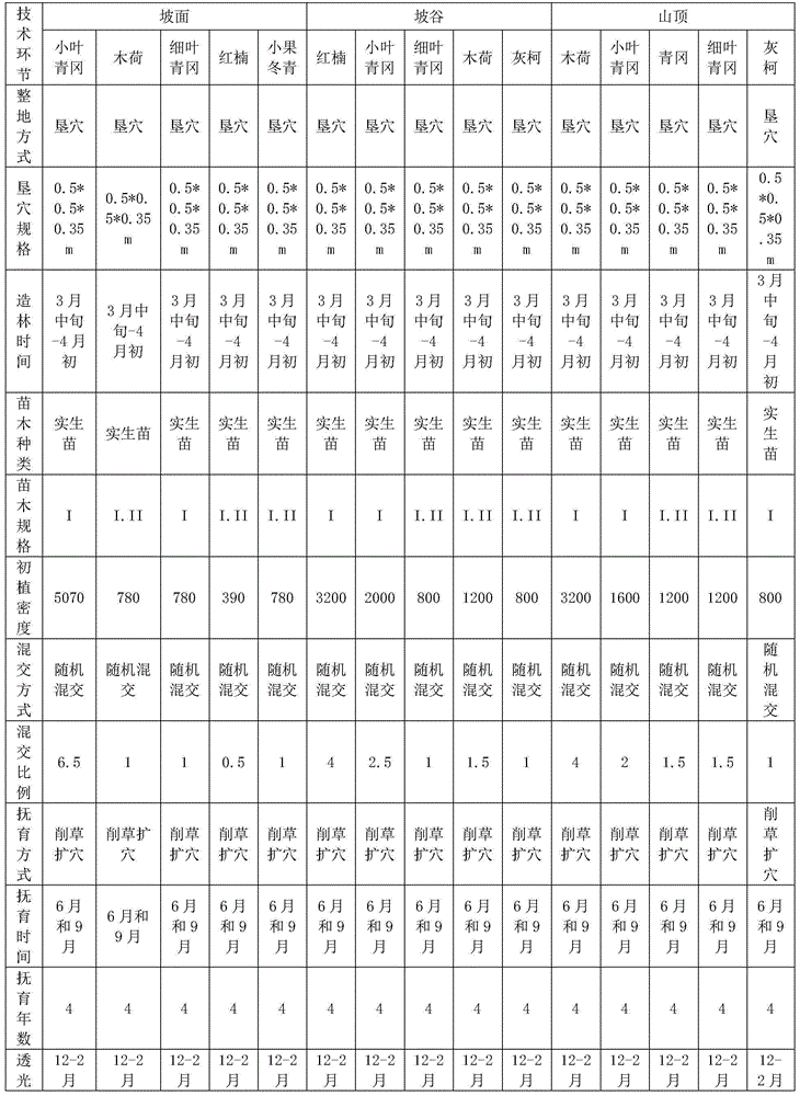 Rain snow and ice freezing resistance evergreen broad-leaf forest afforestation method