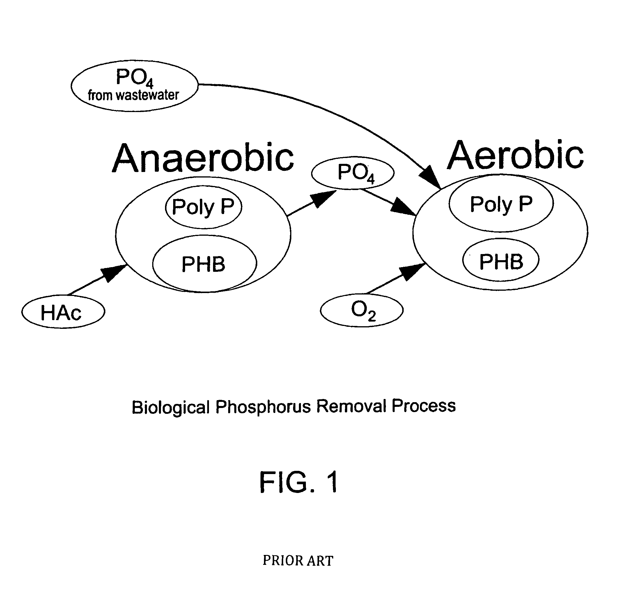 Method of biological phosphorus removal with maximum nitrogen removal in wastewater