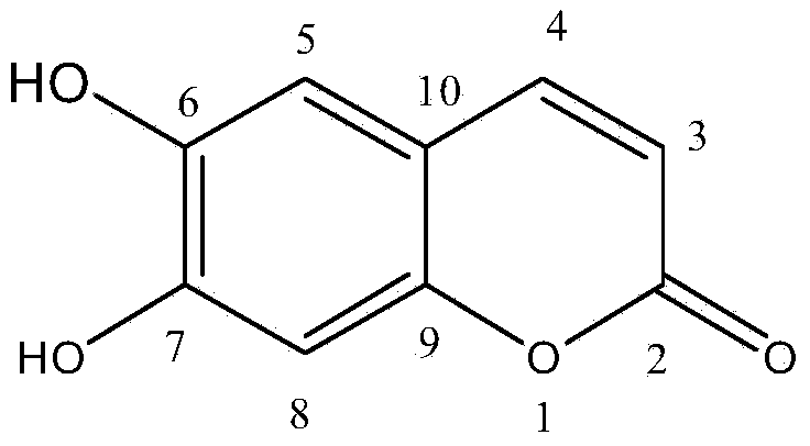 Method for extracting high-purity aesculetin from euphorbia lathyris fruit