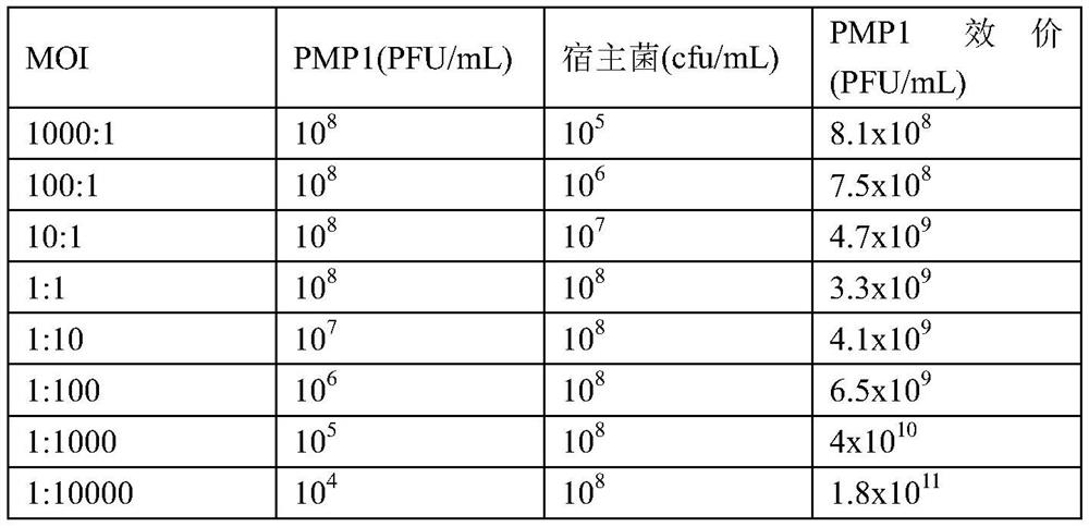 Wide-splitting-spectrum ultraviolet-resistant proteus mirabilis bacteriophage, composition thereof, kit and application of proteus mirabilis bacteriophage