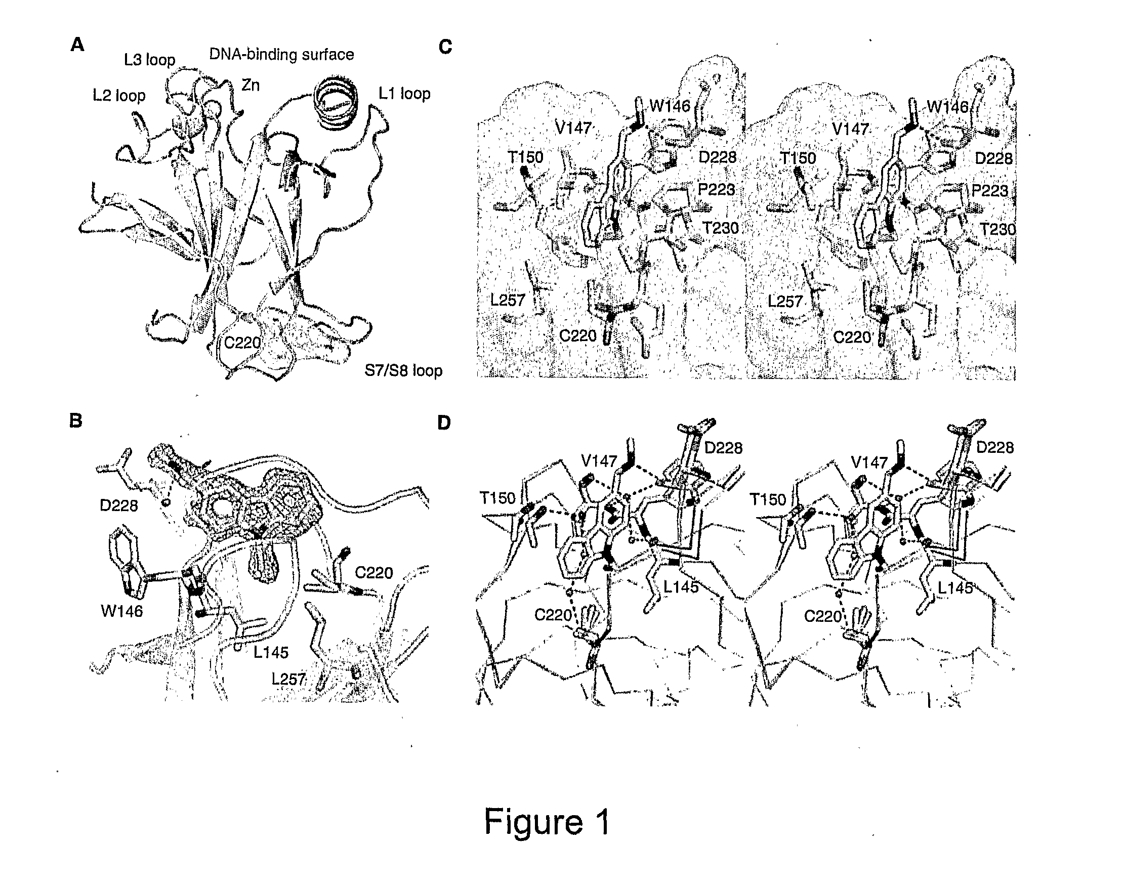 Compounds for use in stabilizing p53 mutants