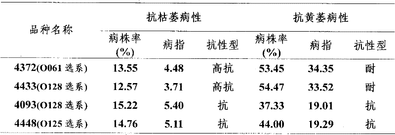 Breeding method of new high-quality cotton line with resistance to blight and verticillium wilt