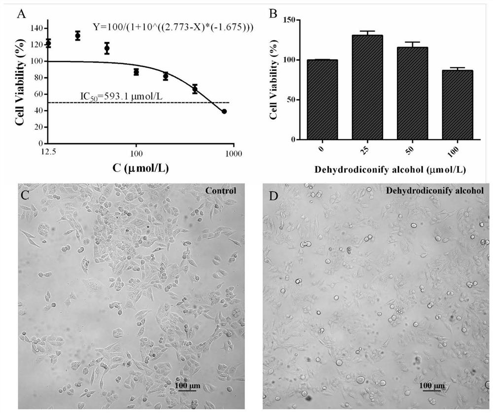 Application of dehydrobiconidyl alcohol in the preparation of anti-liver damage medicine