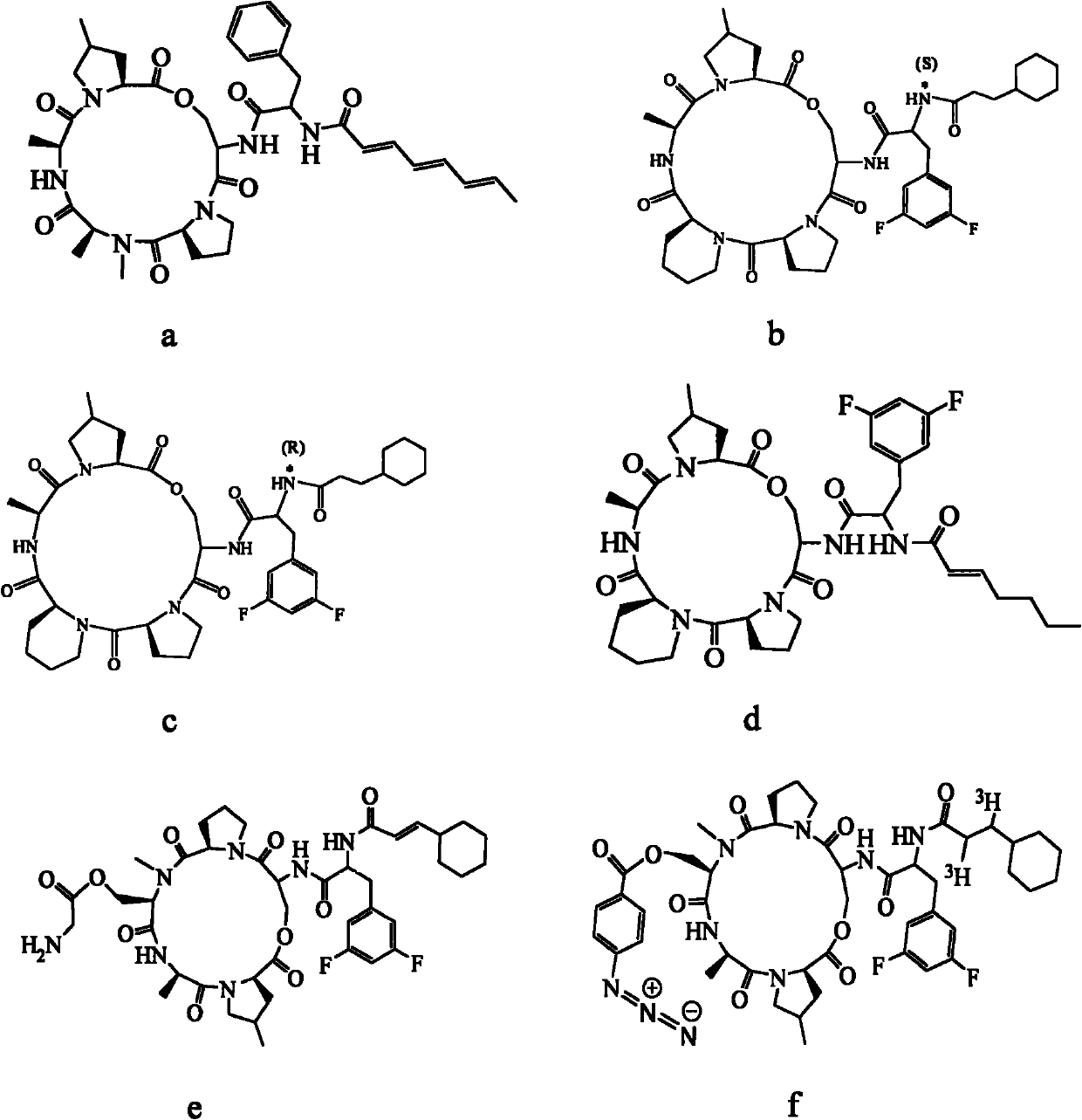 Method for preparing fatty acyl cyclic depsipeptide compounds by solid-phase synthesis