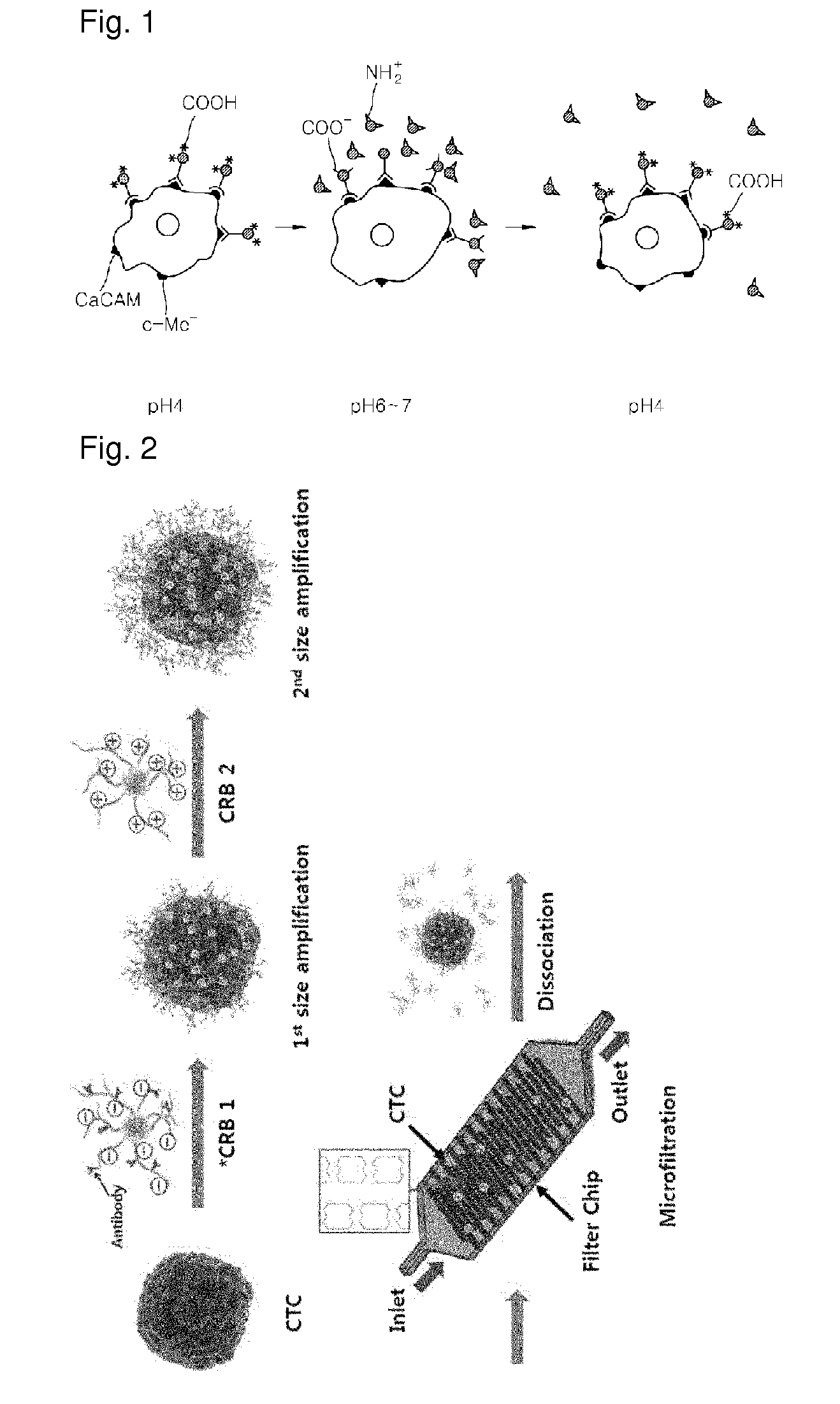 Method and kit for isolating target cell