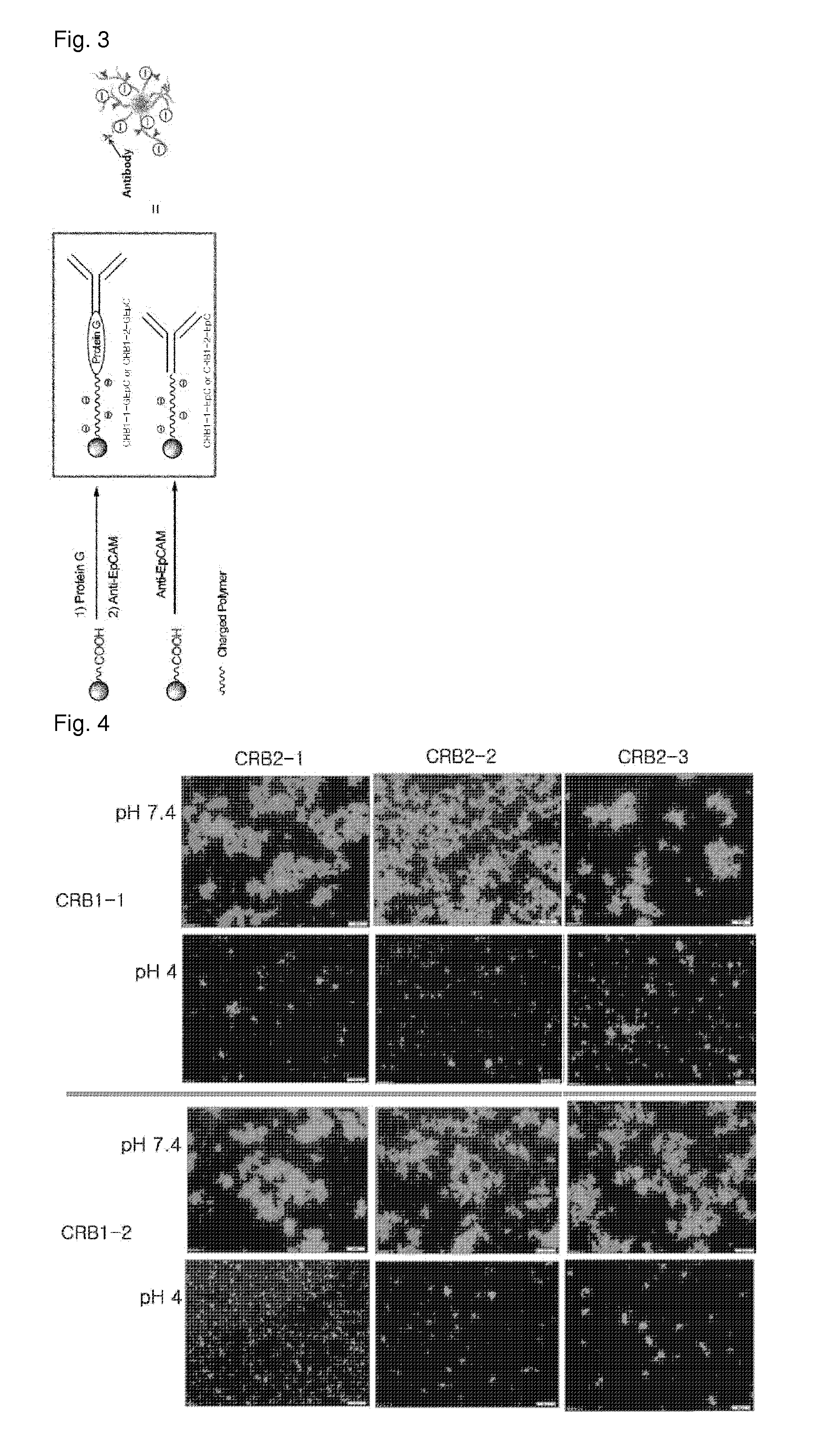 Method and kit for isolating target cell