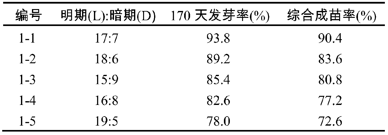 Seedling raising method and cultivation method of a kind of pearl ginseng