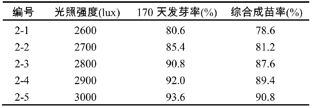 Seedling raising method and cultivation method of a kind of pearl ginseng