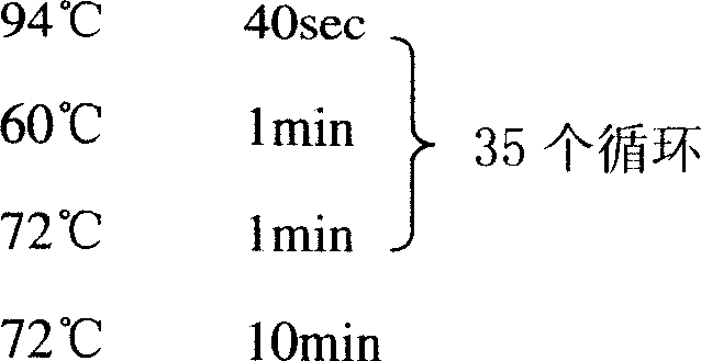 High-molecular wheat glutelin subunit gene, nucleic acid sequence of promoter thereof, and application thereof