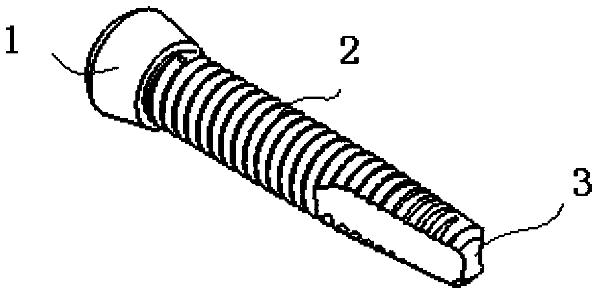 Bone screw