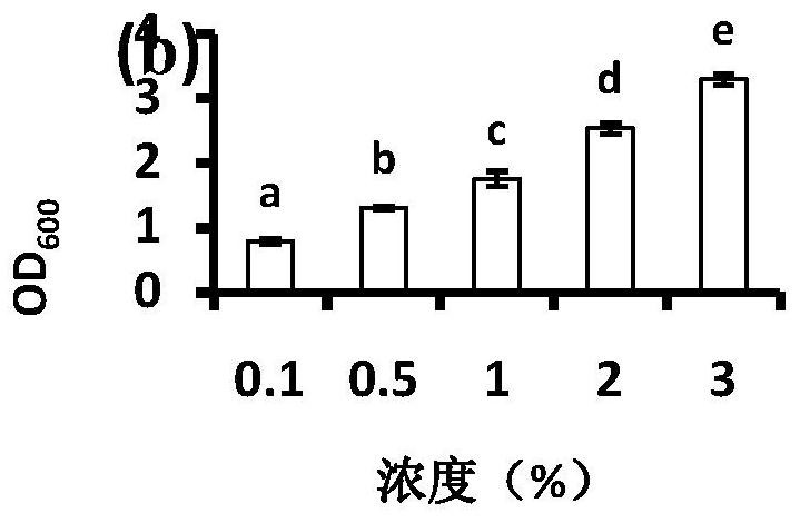 Composite fruit powder with effect of regulating intestinal flora and preparation method of composite fruit powder