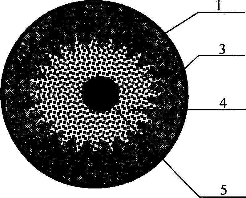 Compound coate with with powder core and its making process