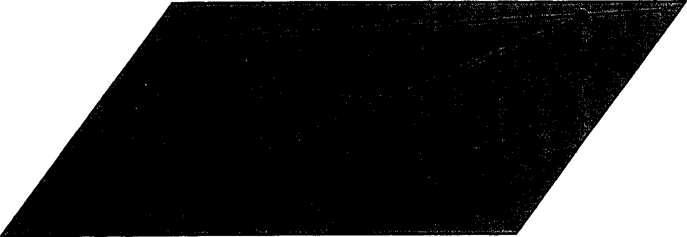 Method of measuring scene and geometric data of bodies inside the scene via single frame of image